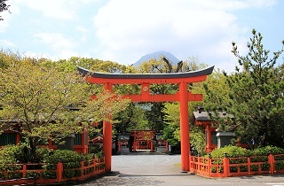 kaimon100.jpg